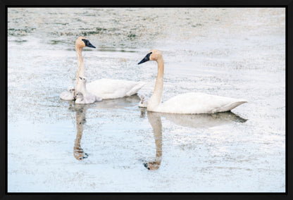 Serenity and Grace