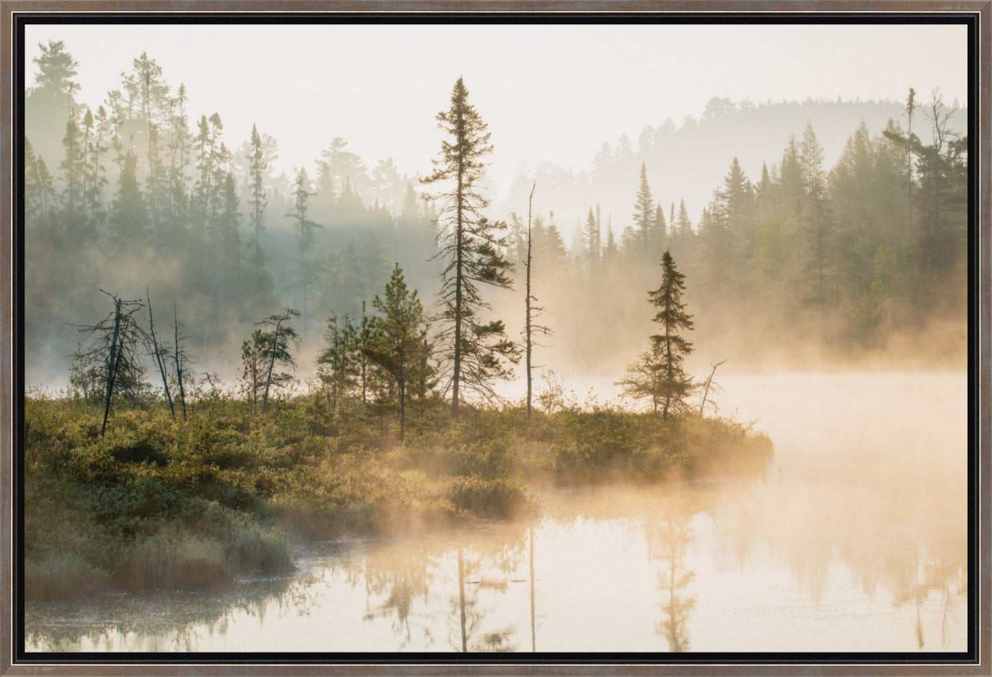 Embers of Morning