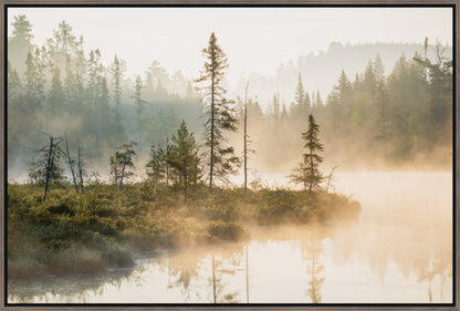 Embers of Morning